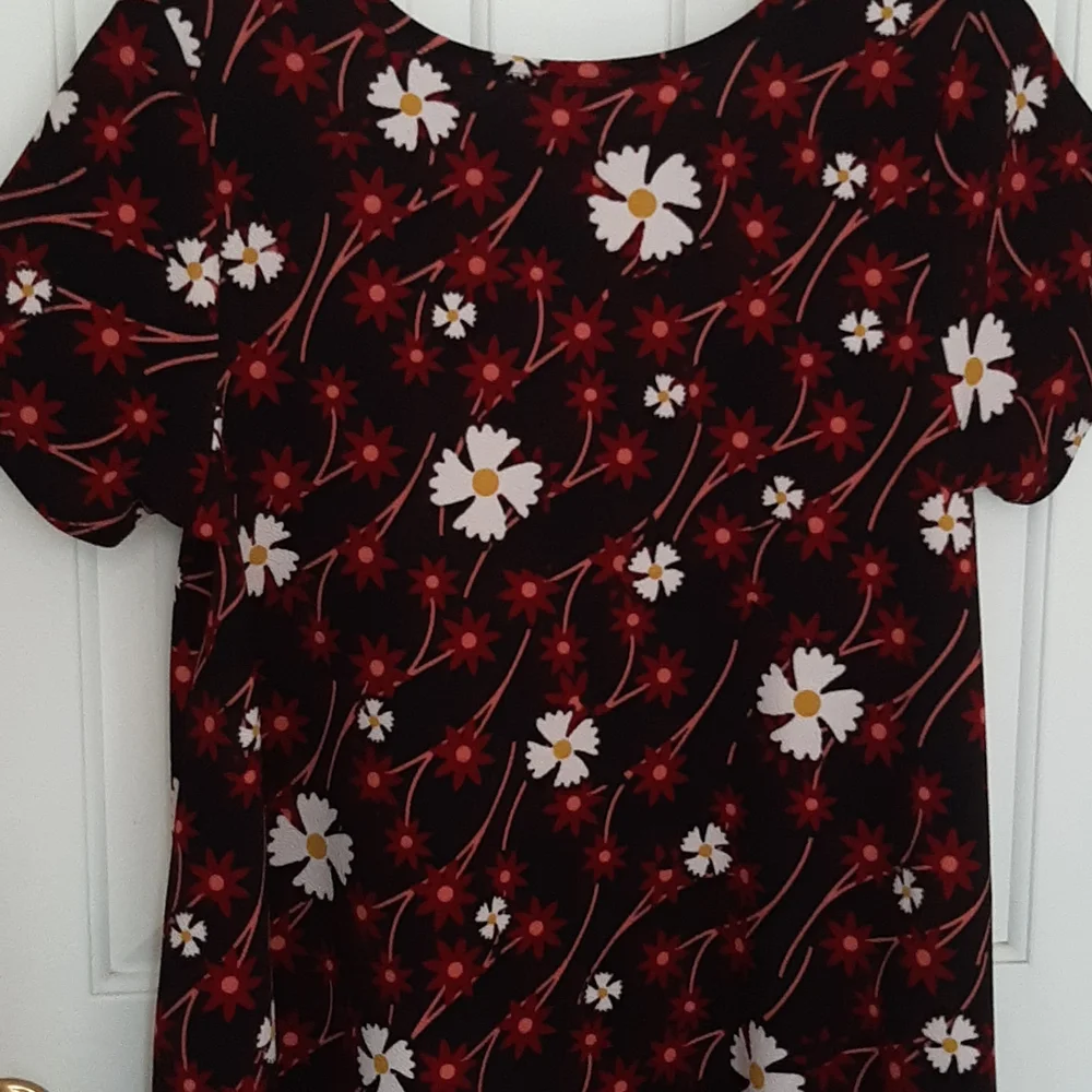 NWOT - LULAROE CARLY DRESS - SIZE L - Picture 5 of 7